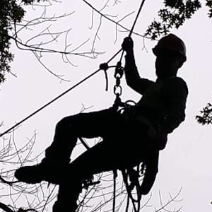 Meet your Posher, Travis